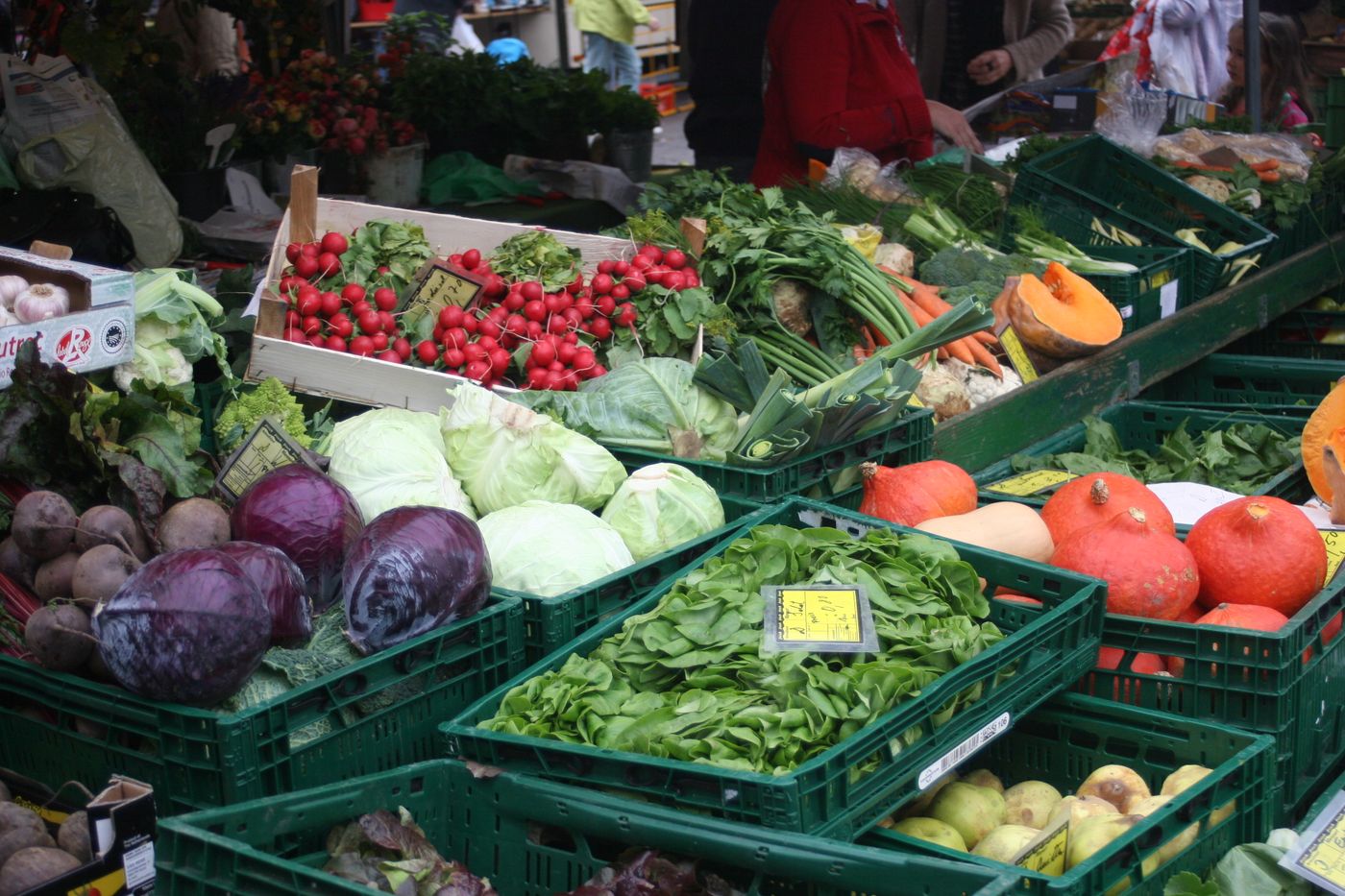 Example produce for Weekly Vegetable Share